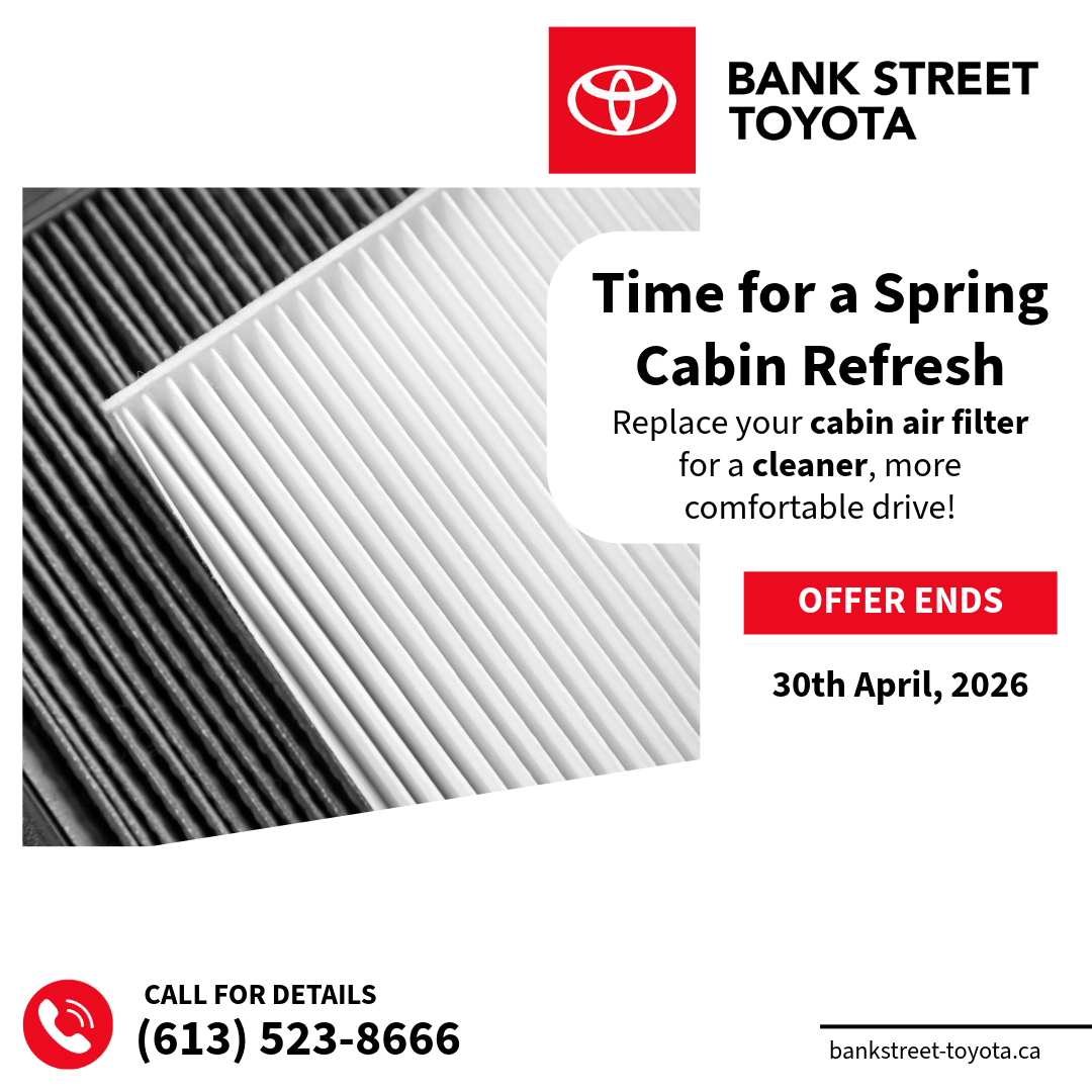 Spring Cabin Refresh